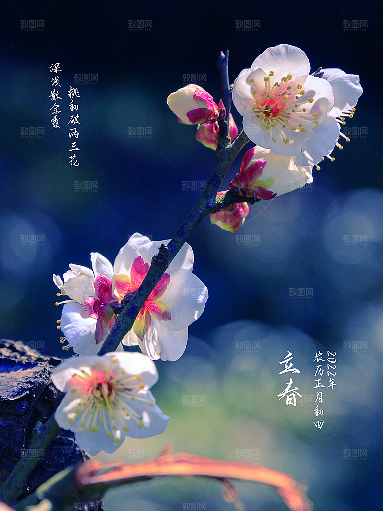 可爱立春节气宣传海报