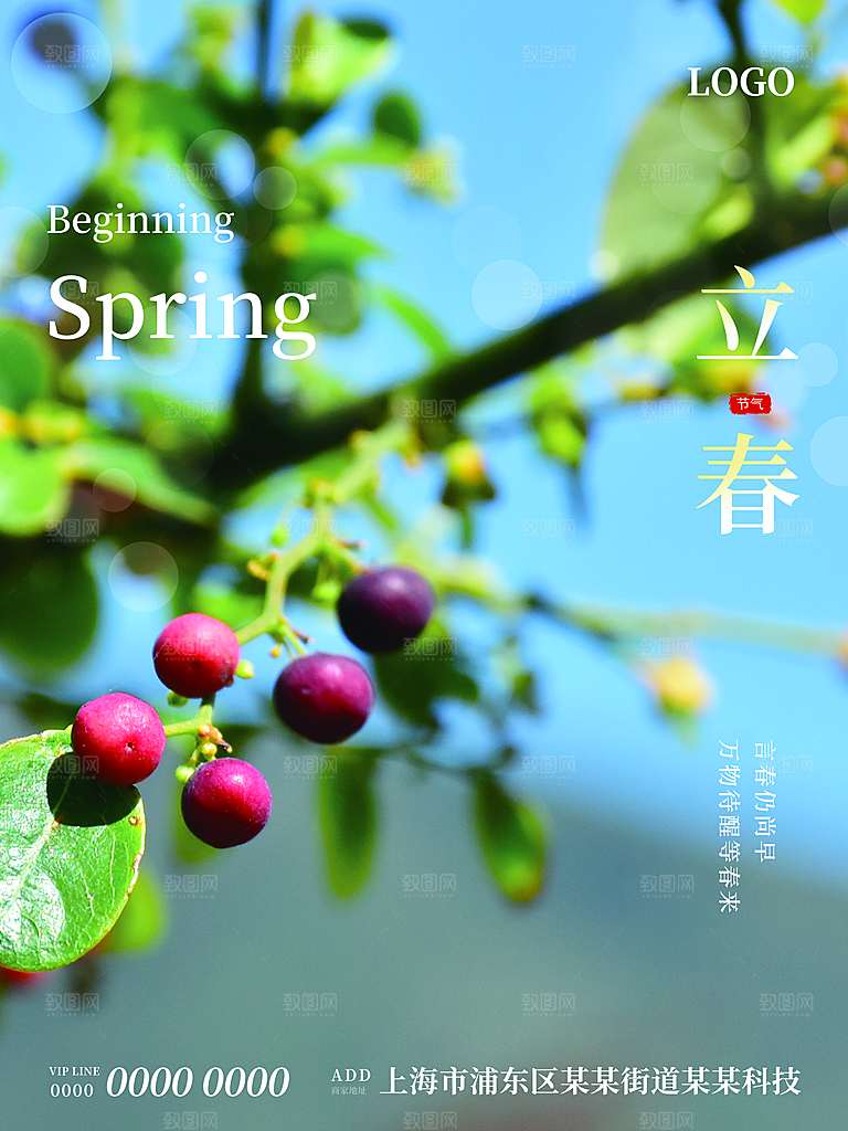 炫彩立春节气宣传海报