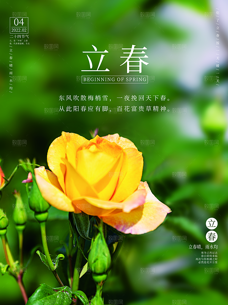 高级立春节气宣传海报