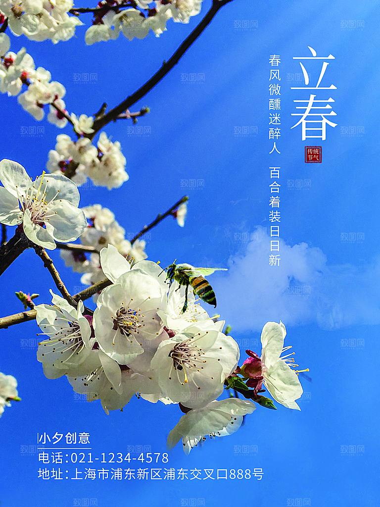 清新立春节气宣传海报