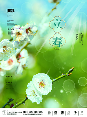 大气立春节气宣传海报