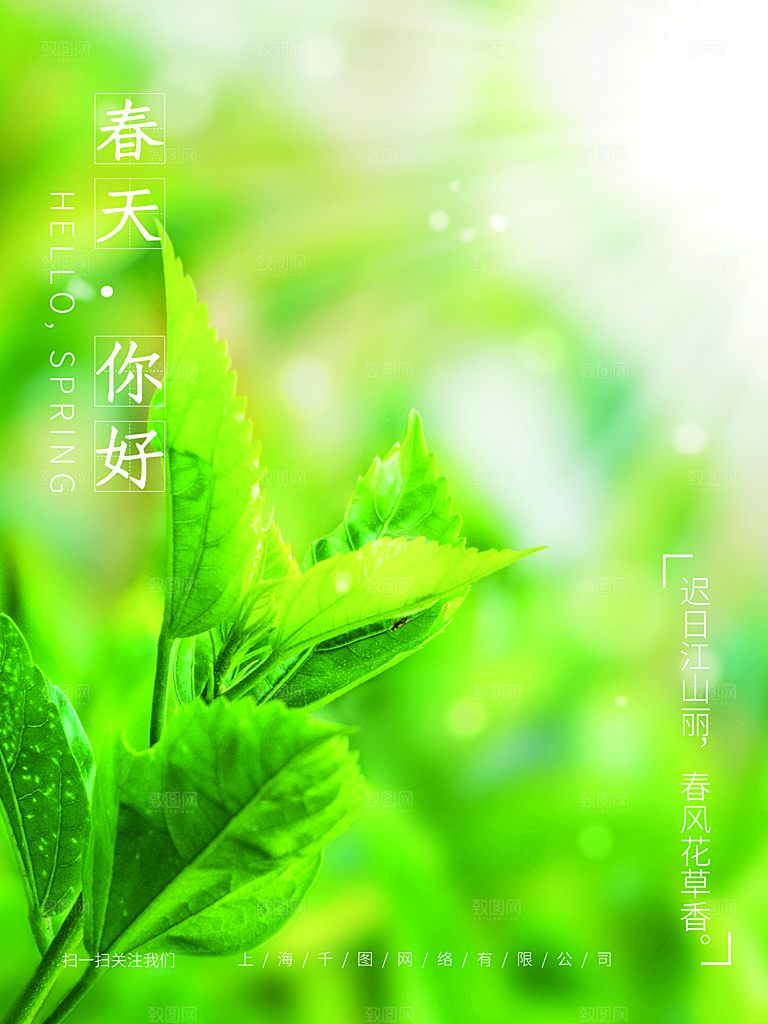 大气立春节气宣传海报