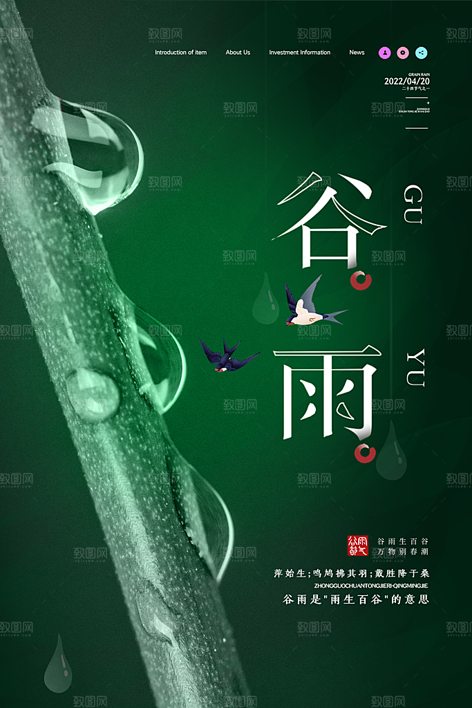 谷雨节气简约大气海报