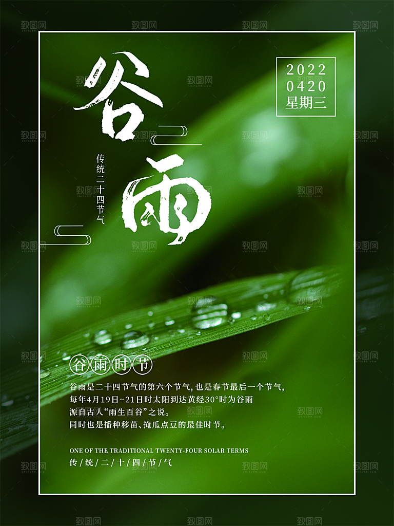 谷雨节气简约大气海报