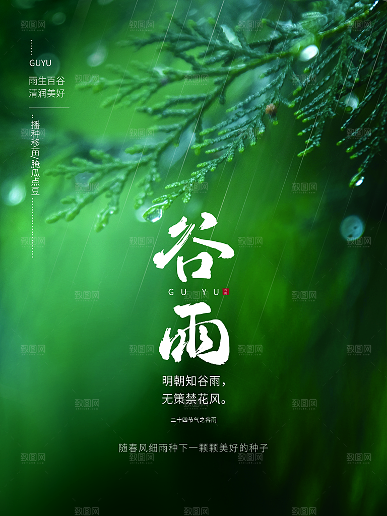 谷雨节气简约大气海报