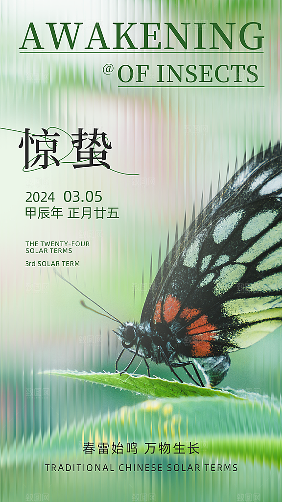 惊蛰节气简约大气海报