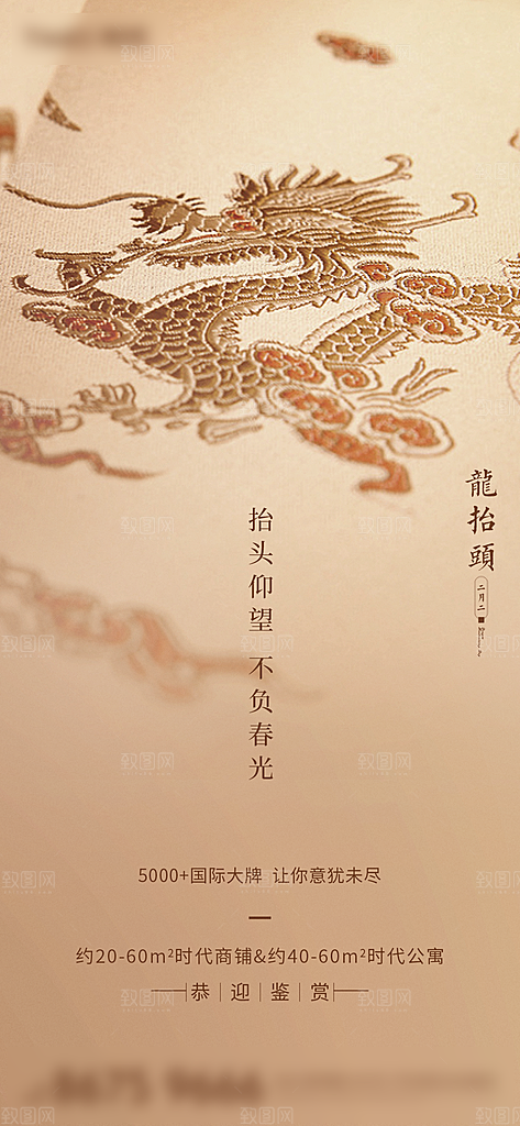 中国传统习俗龙抬头手机海报