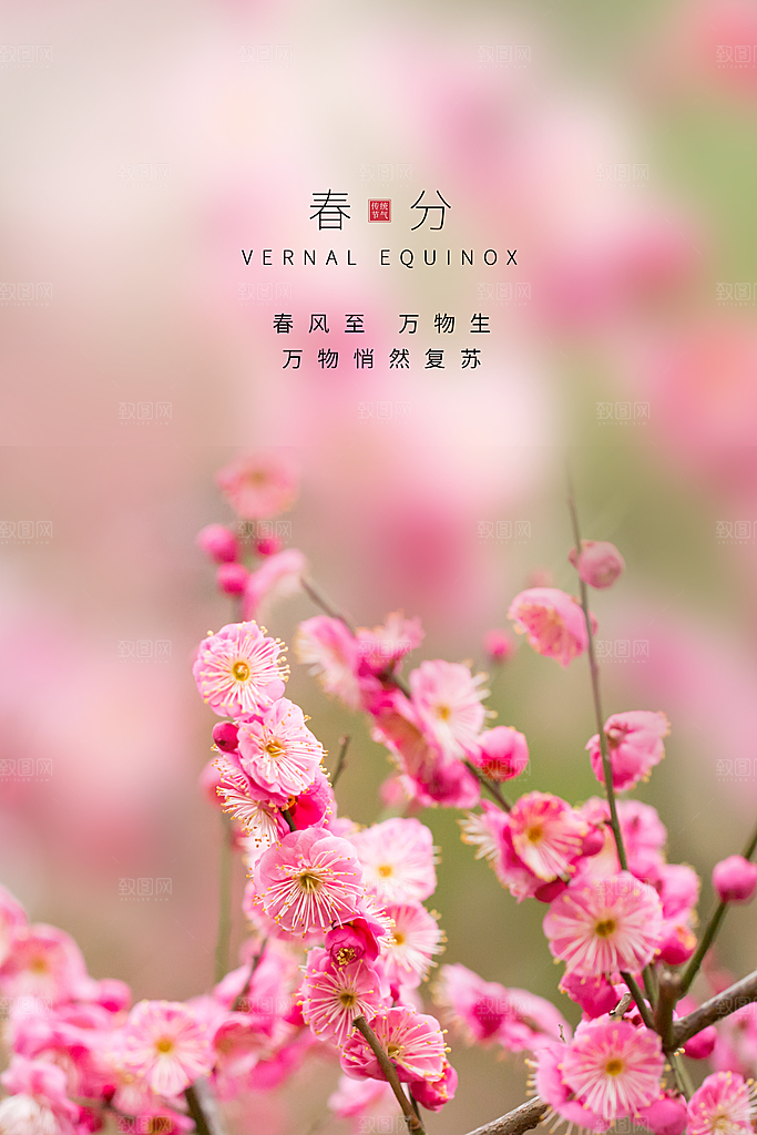 中国传统节气春分海报