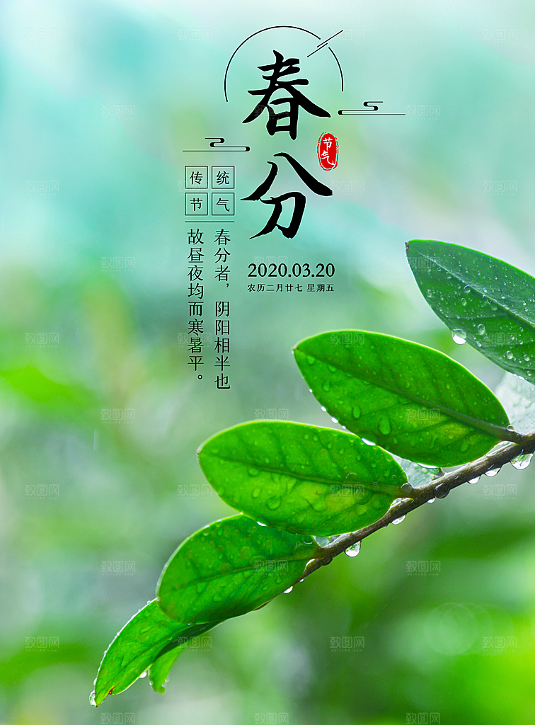 春分插画春季二十四节气春分展板海报