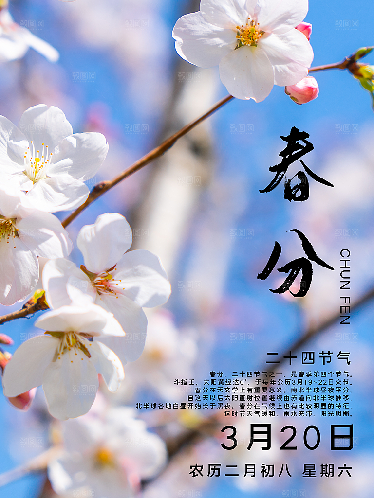 简约创意二十四节气春分节气海报
