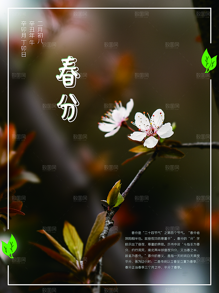 中国传统节气春分海报