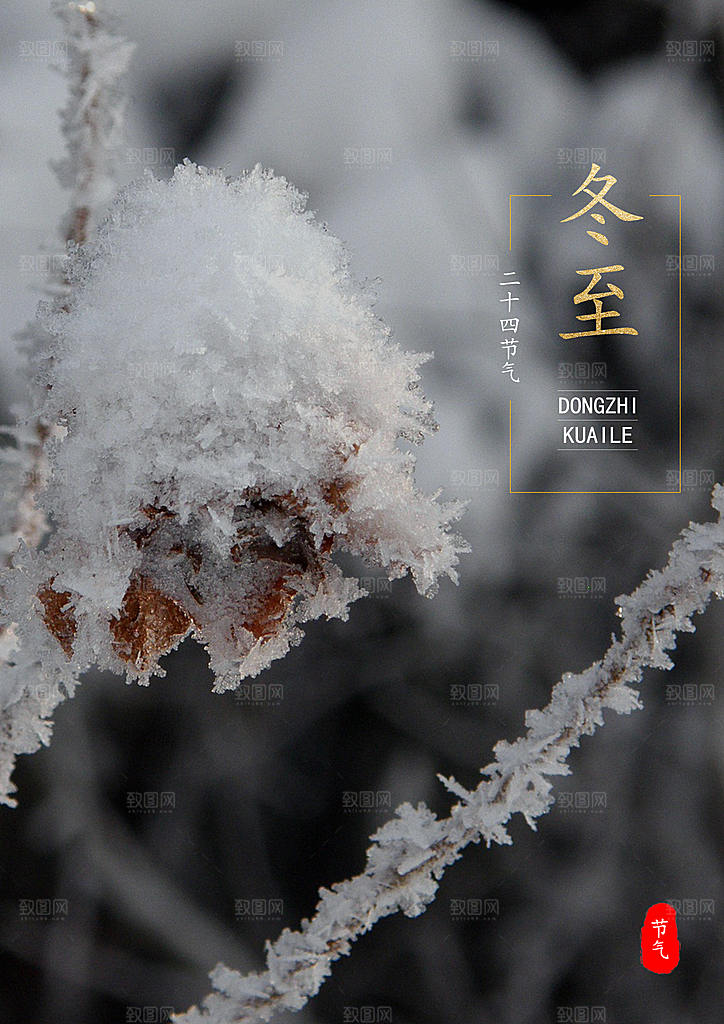 时尚冬至节日宣传海报