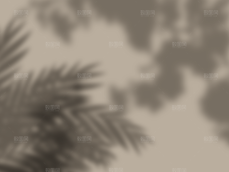 光线投影品牌vi提案样机1