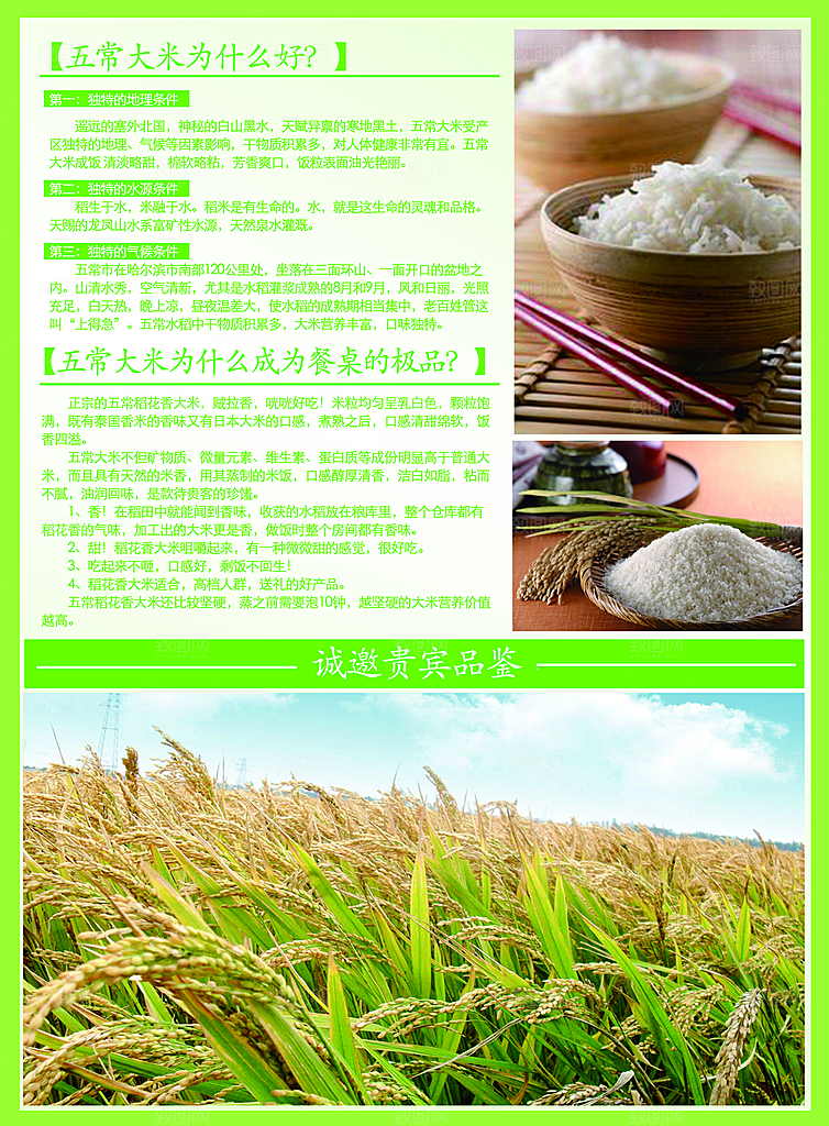 稻谷大米广告宣传海报