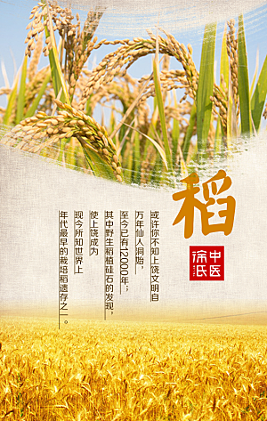 水稻宣传海报素材