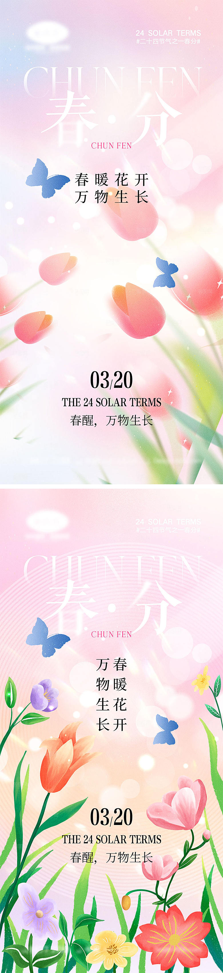 春分节气海报12