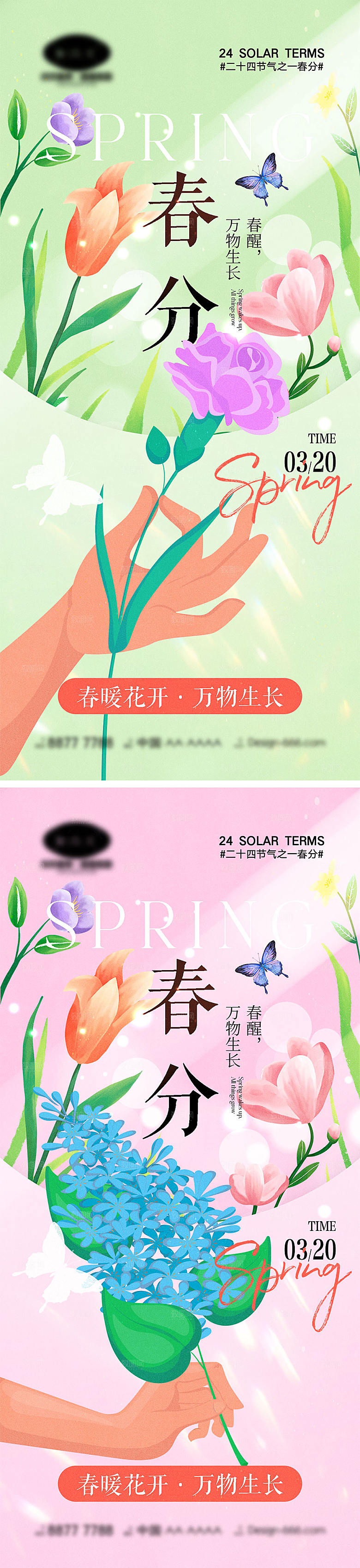 春分节气海报13