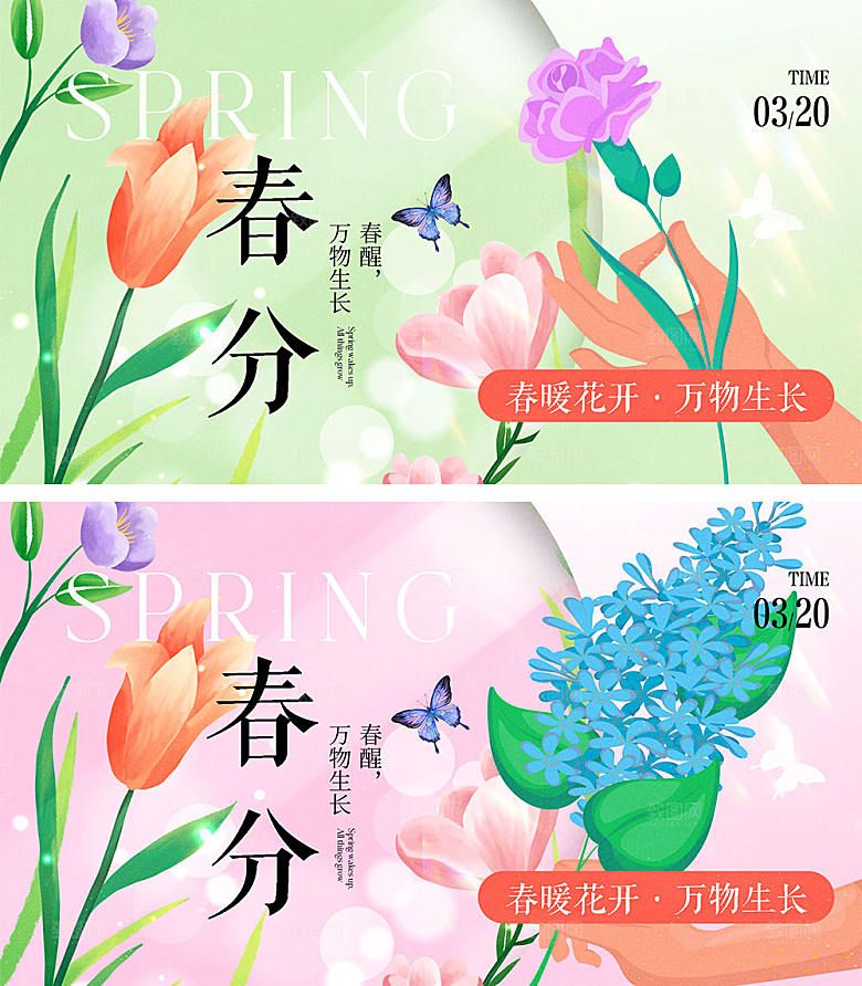 春分节气海报17