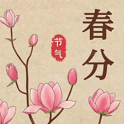 春分玉兰公众号封面