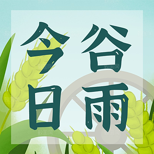 谷雨小麦公众号封面