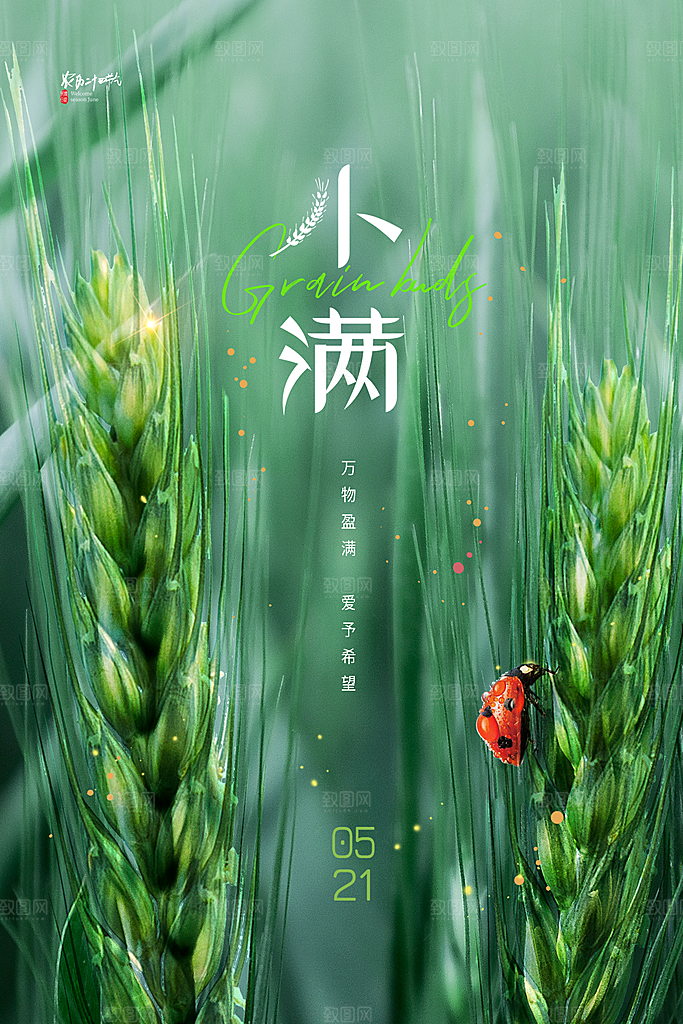 小满节气清新海报模板设计