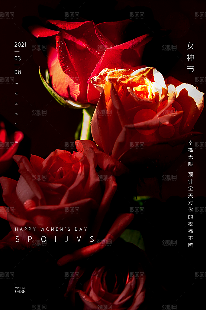 38女神节妇女节节日简约大气海报