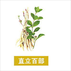 中草药材植物插图素材元素