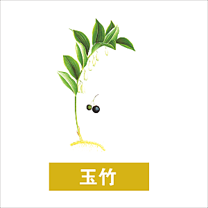 中草药材植物插图素材元素