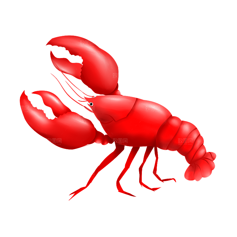 美味小龙虾插图素材餐饮元素