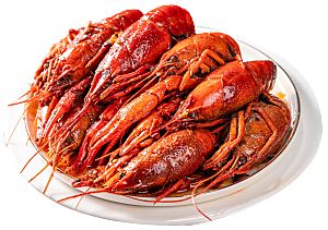 美味小龙虾插图素材餐饮元素