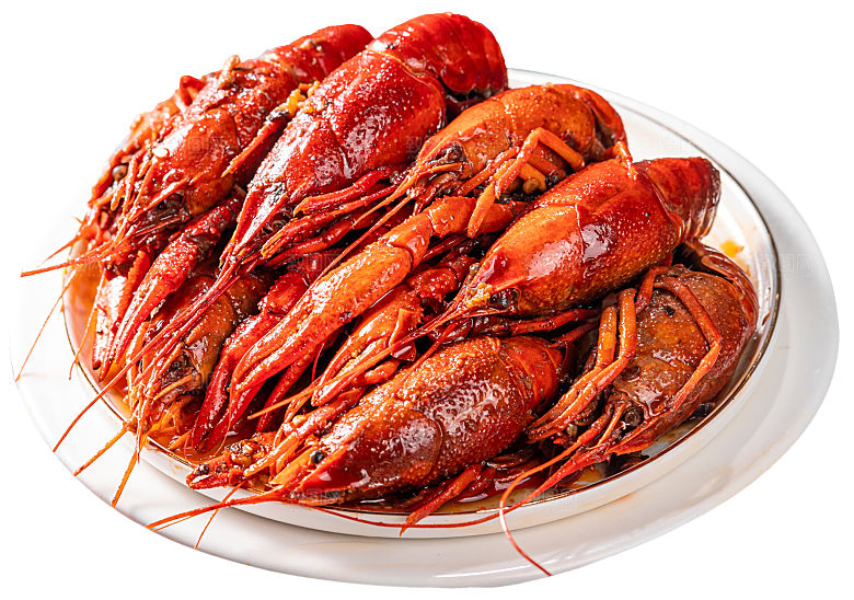 美味小龙虾插图素材餐饮元素