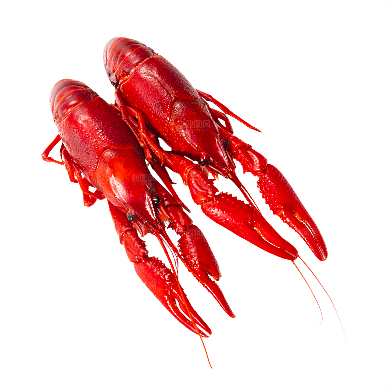 美味小龙虾插图素材餐饮元素