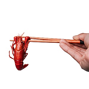 美味小龙虾插图素材餐饮元素