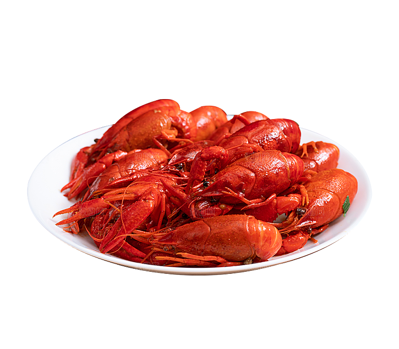 美味小龙虾插图素材餐饮元素