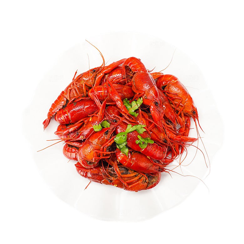 美味小龙虾插图素材餐饮元素素材
