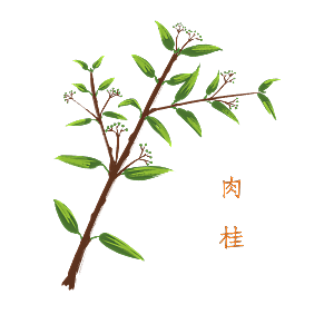 中草药材植物插图素材