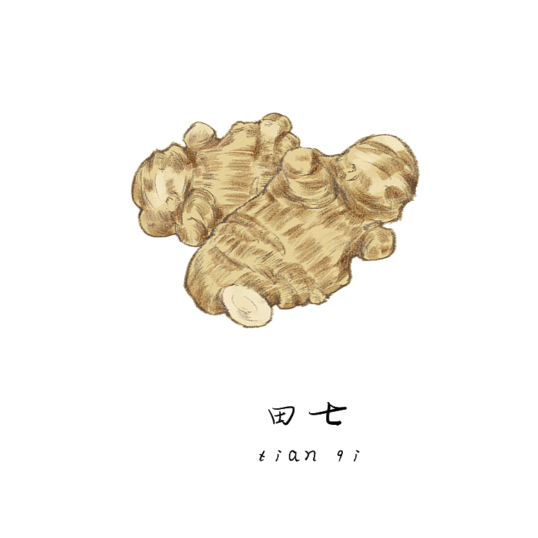 中草药材植物插图素材元素