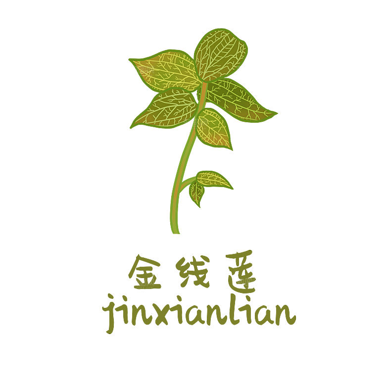 中草药材植物插图素材