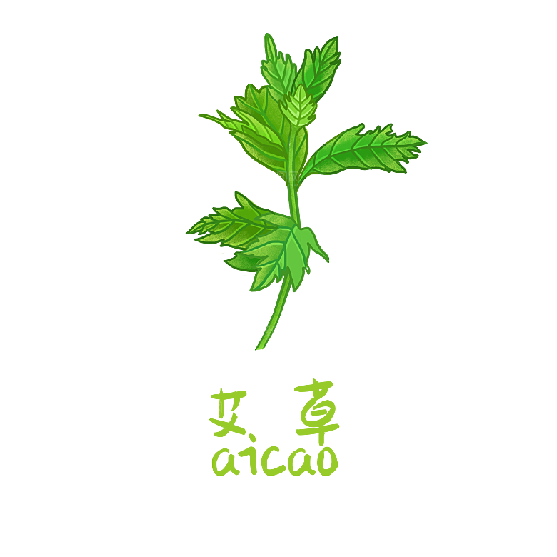 中草药材植物插图素材