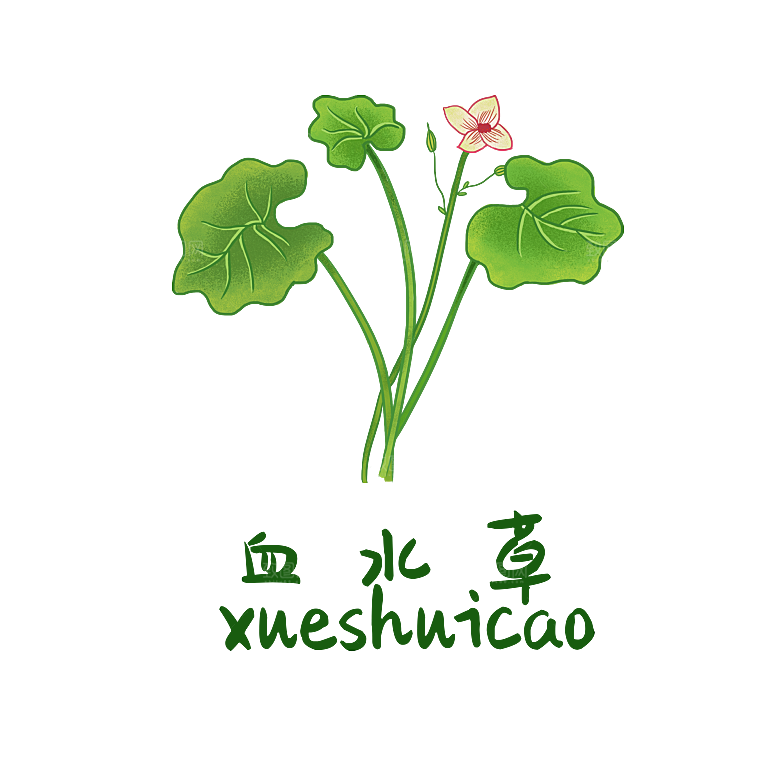 中草药材植物插图素材