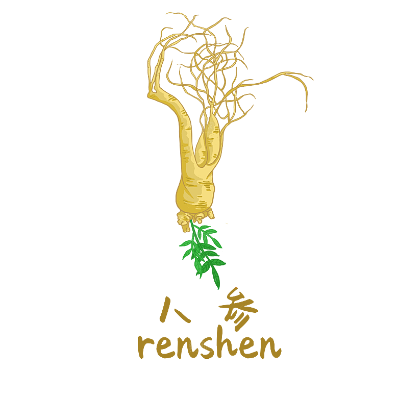 中草药材植物插图素材