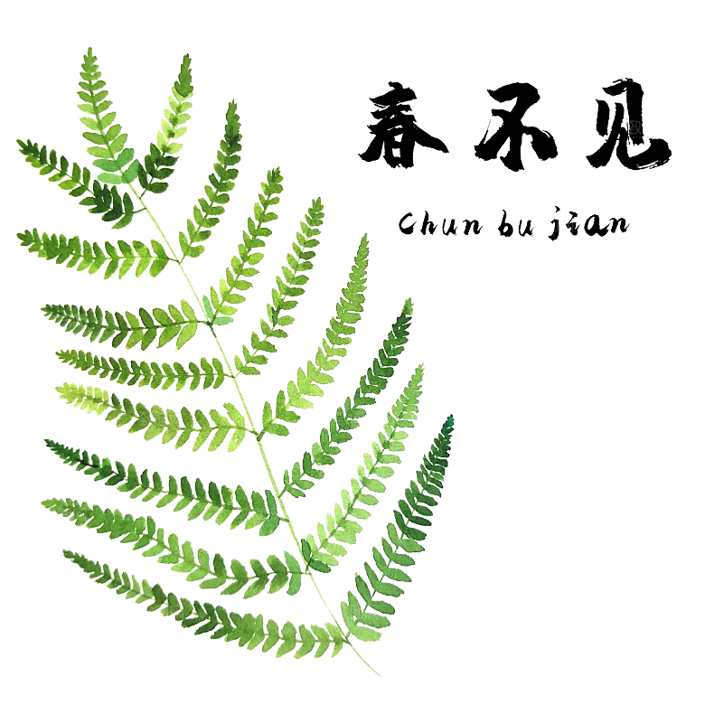 中草药材植物插图素材元素