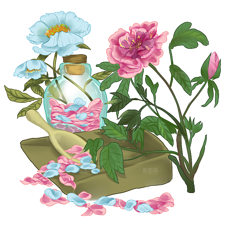 中草药材植物插图素材