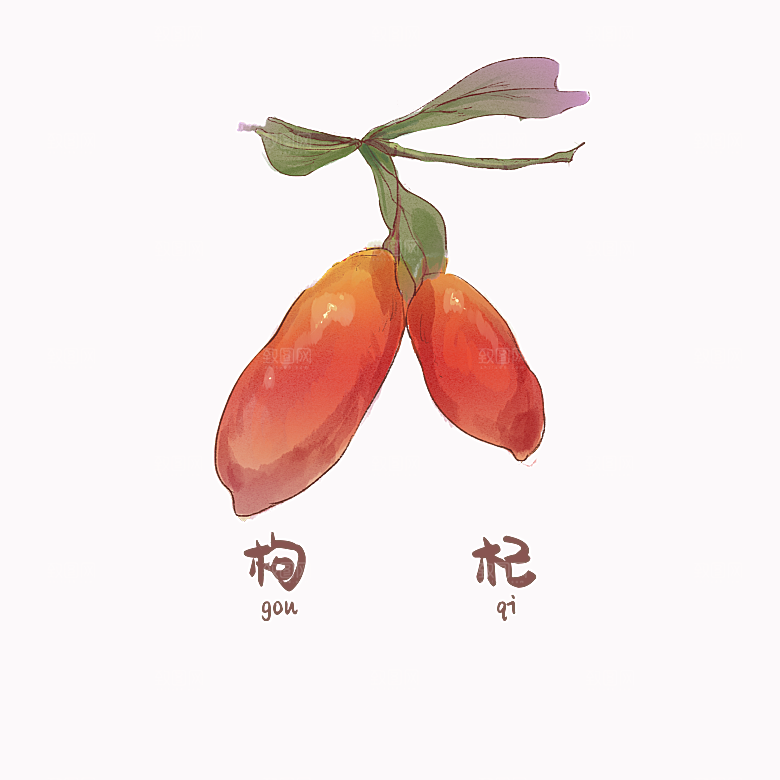 中草药材植物插图素材