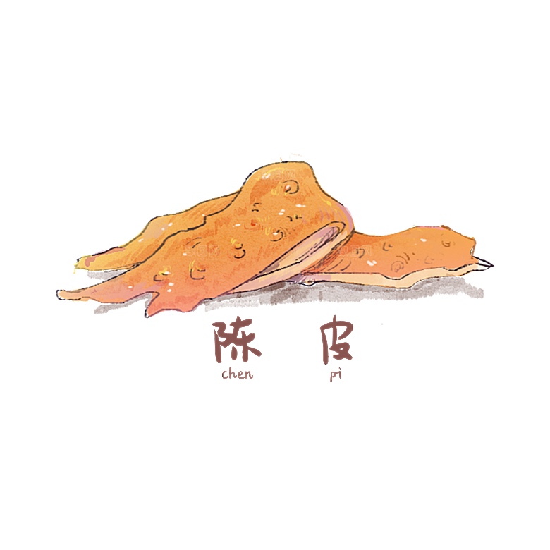 中草药材植物插图素材