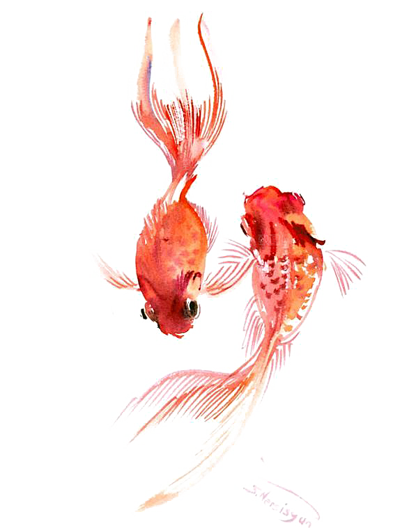 金鱼鲤鱼插图合集中国风水墨画