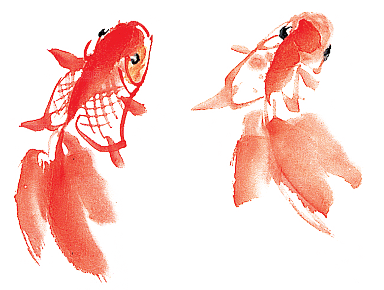 金鱼鲤鱼插图合集中国风水墨画