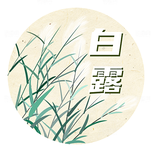 白露中国风插画公众号次图