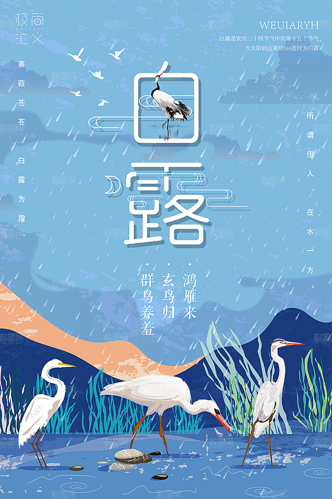 白露节气手绘海报模板设计素材
