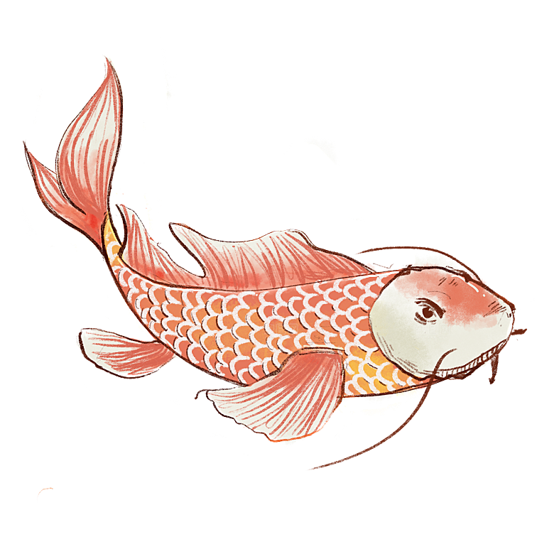 金鱼鲤鱼插图合集中国风水墨画元素